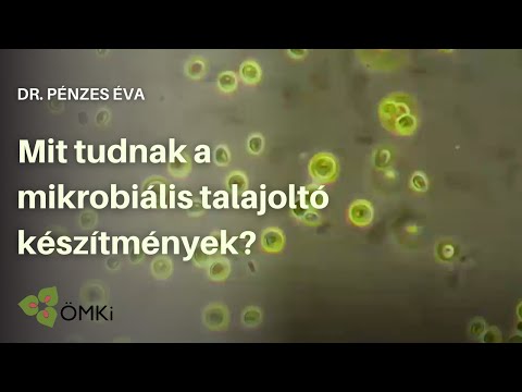 Közös kezelés a pszkovi régióban