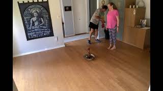 Listen To The Mockingbird Circle Dance