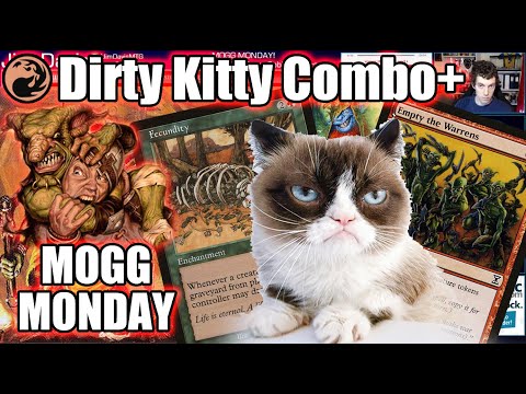 Mogg Monday: Episode 14 - Dirty Kitty Combo Gets A New Friend! (Modern)