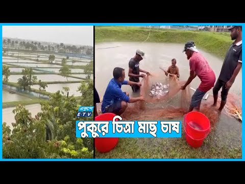 চিত্রা ও দাতিনা মাছের পোনা উৎপাদন