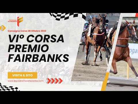 VI Corsa del 28 Ottobre 2023 - 5 Anni ed oltre - Metri 2000