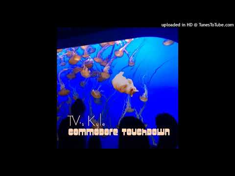 14 - TV's Kyle - Next Level Chicken