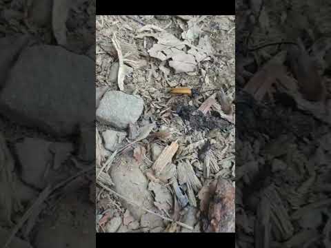 Edit #mountains #mishmash #nature #przyroda