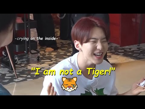 hoshi gose moments that are ✨ effortlessly ✨ funny