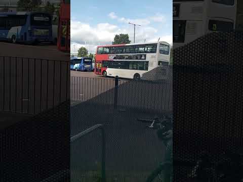 SP54 CGO McGills Midland Bluebird Bannockburn Depot Volvo Gemini