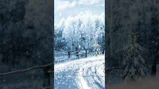 Charlie Landsborough Lyrics &quot;In The Bleak Mid-Winter&quot;