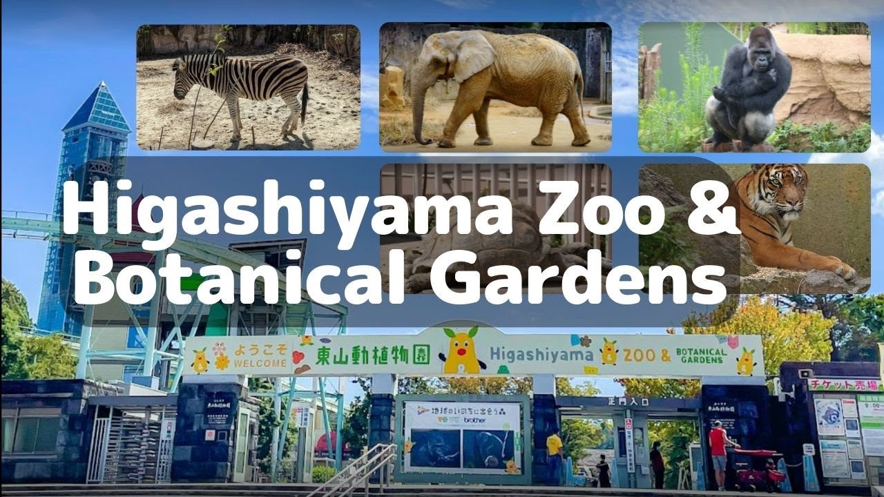 Embark on an immersive virtual tour through Higashiyama Zoo and Botanical Gardens.