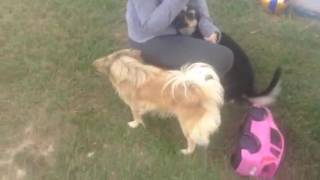 Rains point of view pt1