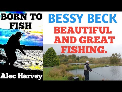 FLY FISHING - STILL WATER FLY FISHING, BESSY BECK.