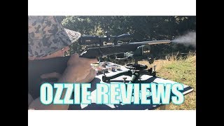 Video: Savage B22 FVSS 22 LR 21 tum