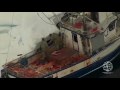 2010 Canada Seal Hunt:  Raw Footage from the Ice