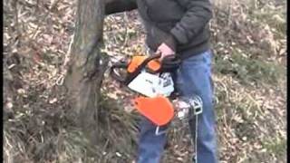 traino legna con verricello