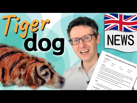 English News Lesson: Halloween tiger makeover for beloved dog