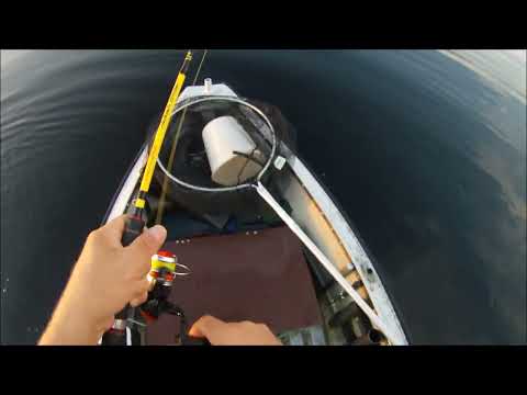 AHVENEN METSÄSTYS JATKUU, NYT ON ISO " KALA "