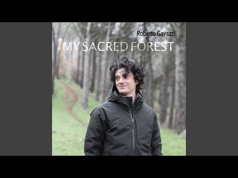 My Sacred Forest