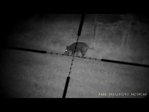 2021 0707 143727 005