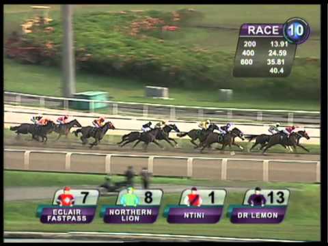 Merlion Trophy 2011 (Tuxedo Moon)