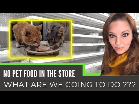 DIY Homemade Canned Cat Food - Cat Food Shortage 2022