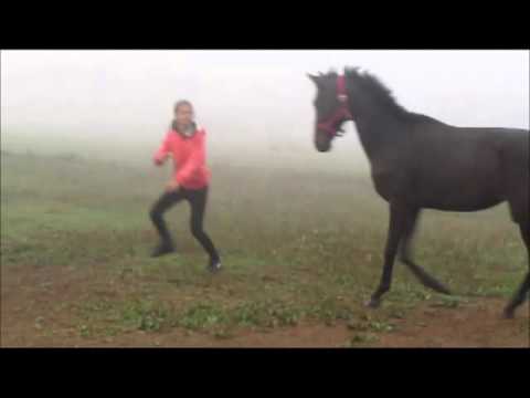 My love , and my life