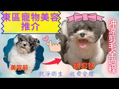 港島東區寵物美容店平 ! 靚 ! 正 ! 推介『狗狗物語』