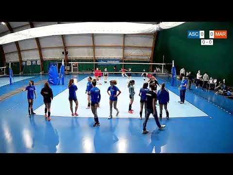 🏐 3° Divisione Femminile - Martesana Volley Cologno