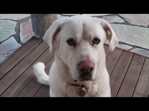 Akun  Kesäpesä 15.6.