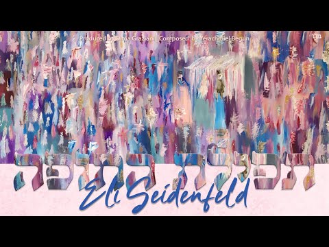 Eli Seidenfeld | Tefillas Hachupa Miami Boys Choir (Official Lyric Video) אלי זיידנפלד - תפילת החופה