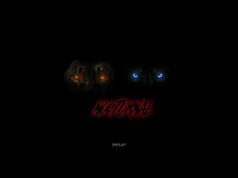 Dwson feat. !Sooks - Nocturnal (Audio)