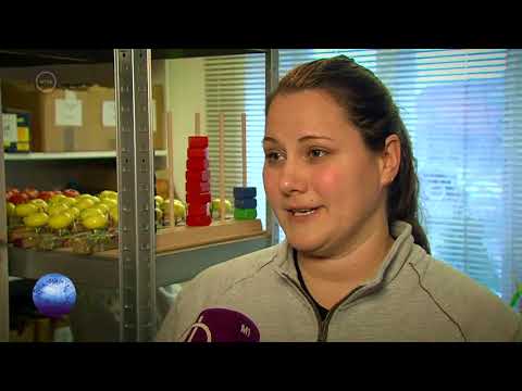 Kárpát Expressz 2018.02.18 - Kockica játéküzem - Szabadka