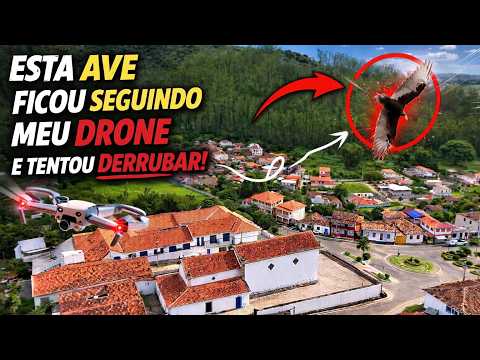 Assista ao vídeo