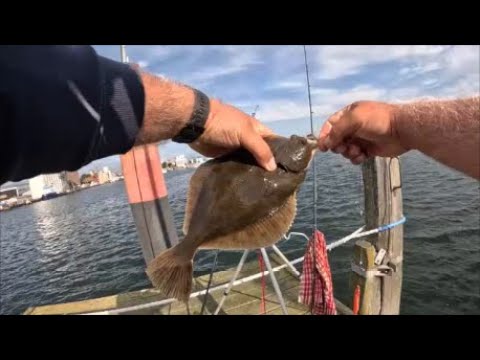 Fishing in Heiligenhafen with the harbor map/ in summer for flatfish... does that work?