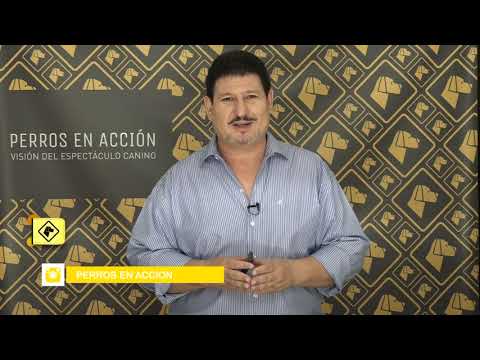 “Perros en acción”  Programa Nº 408 Bloque 1