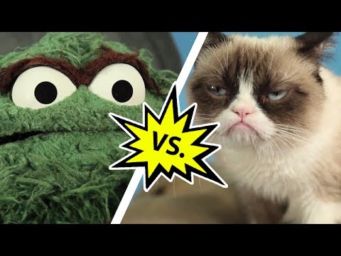Oscar the Grouch vs. Grumpy Cat | Mashable