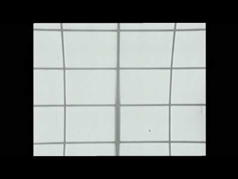 Jiří Suchý a Jiří Šlitr - Píseň o koni