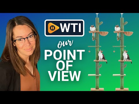 PAWZ Road Cactus Cat Tree - WTI product video review