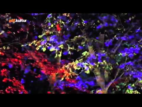 Doku Liquid Ecstasy GBL GHB