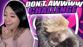 I NEED THIS AS A PET! | Potastic Tries Try Not to Aww Challenge
