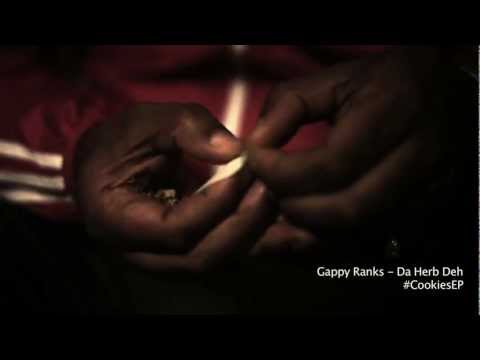 GAPPY RANKS for 9 Lives Video