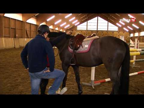 Vulkan TV - 195. Sendung vom 21.01.2015