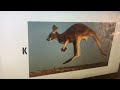 Animal Alphabet