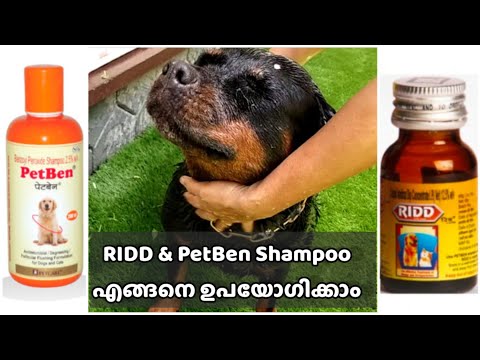 PetBen Dog Shampoo 200 ml