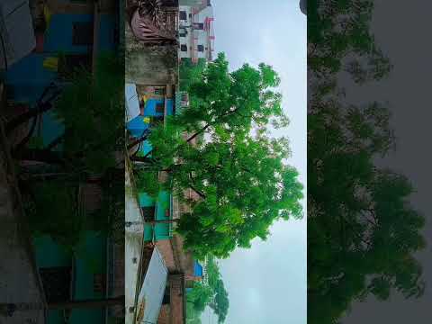 garam Jaurahi kushinagar my vilog videos #viralshort #hafizgufran ##vilog #gufran #shortvideo