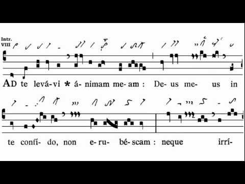 Ad te levavi - introitus