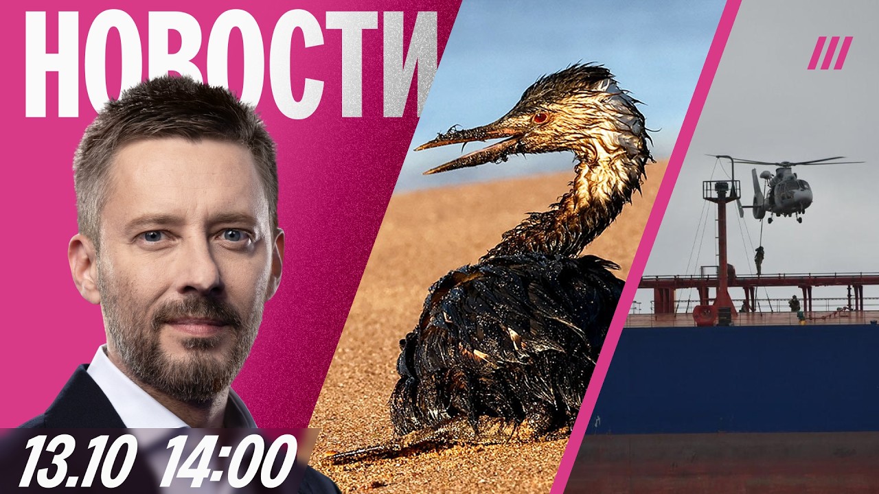 Аресты ФСБ в регионах РФ. Птицы в мазуте у Черного моря. Во Франции задержали 