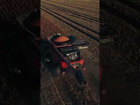 Brasif Agro | Entrega técnica da primeira AF10 das regiões Norte e Nordeste.