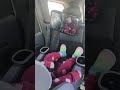 Buckle Up Big Bird Seatbelt Safety