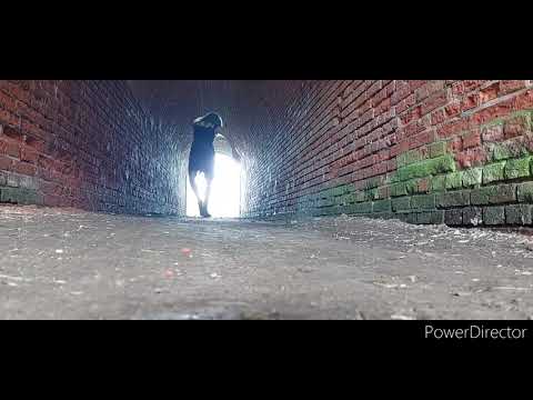 Vellopia - Keep on Smilin (Wolfgang Lohr, Emma Lea, Ashley Slater) #Neoswing Dance