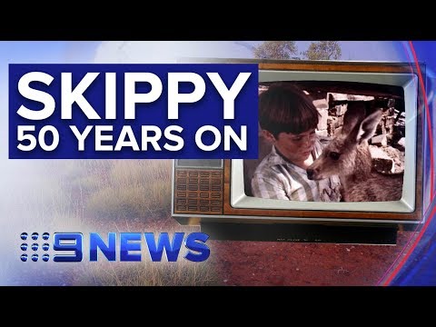 Australian icon Skippy the Kangaroo star of exhibition | Nine News Australia