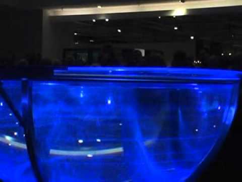 Michael Thürnau, Natalia Macauley und viele mehr bei 100 Jahre Dodenhof Posthausen 1. Teil