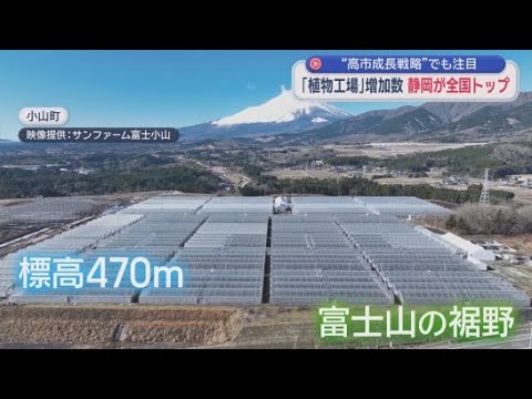 YouTube Video 高市政権の成長戦略でも注目される「植物工場」　近年の増加件数は静岡県が全国トップ  そのワケは…？　